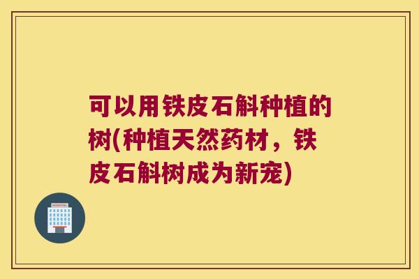 可以用铁皮石斛种植的树(种植天然药材，铁皮石斛树成为新宠)