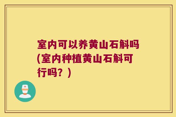 室内可以养黄山石斛吗(室内种植黄山石斛可行吗？)