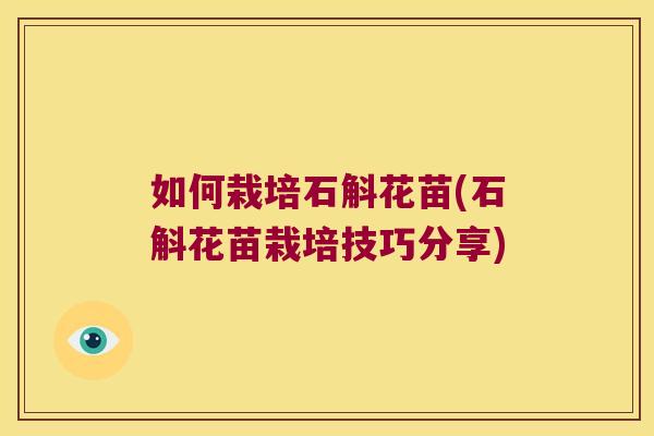 如何栽培石斛花苗(石斛花苗栽培技巧分享)