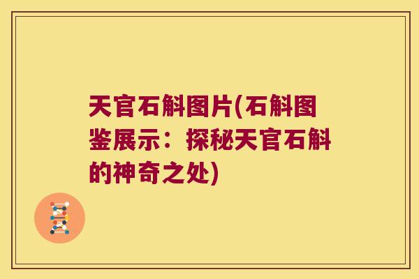 天官石斛图片(石斛图鉴展示：探秘天官石斛的神奇之处)