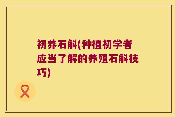 初养石斛(种植初学者应当了解的养殖石斛技巧)