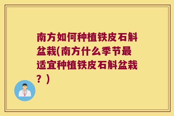 南方如何种植铁皮石斛盆栽(南方什么季节最适宜种植铁皮石斛盆栽？)
