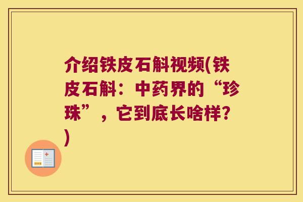 介绍铁皮石斛视频(铁皮石斛：中药界的“珍珠”，它到底长啥样？)