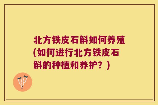 北方铁皮石斛如何养殖(如何进行北方铁皮石斛的种植和养护？)