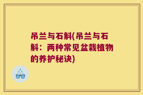 吊兰与石斛(吊兰与石斛：两种常见盆栽植物的养护秘诀)