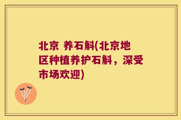北京 养石斛(北京地区种植养护石斛，深受市场欢迎)