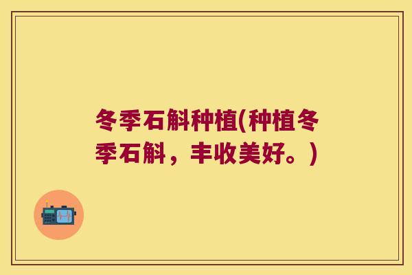 冬季石斛种植(种植冬季石斛，丰收美好。)