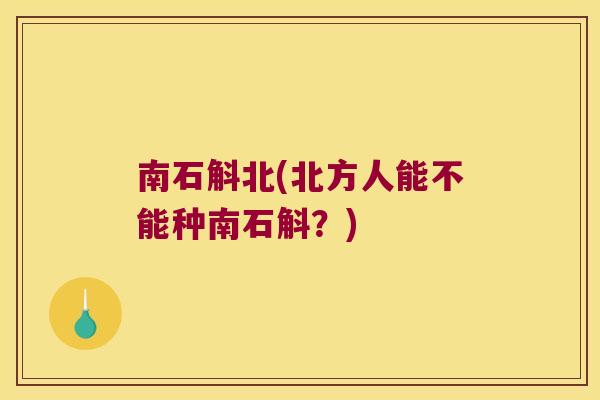 南石斛北(北方人能不能种南石斛？)