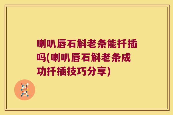 喇叭唇石斛老条能扦插吗(喇叭唇石斛老条成功扦插技巧分享)