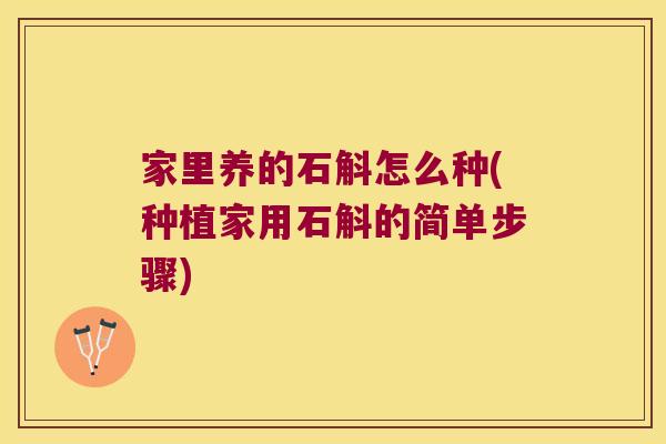 家里养的石斛怎么种(种植家用石斛的简单步骤)