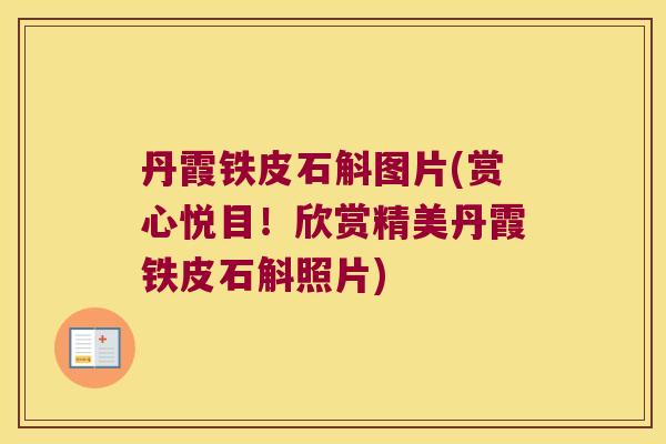 丹霞铁皮石斛图片(赏心悦目！欣赏精美丹霞铁皮石斛照片)