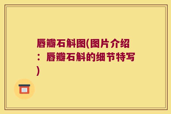 唇瓣石斛图(图片介绍：唇瓣石斛的细节特写)