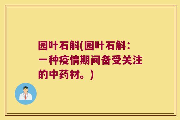 园叶石斛(园叶石斛：一种疫情期间备受关注的中药材。)
