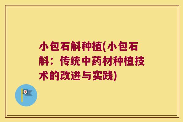 小包石斛种植(小包石斛：传统中药材种植技术的改进与实践)