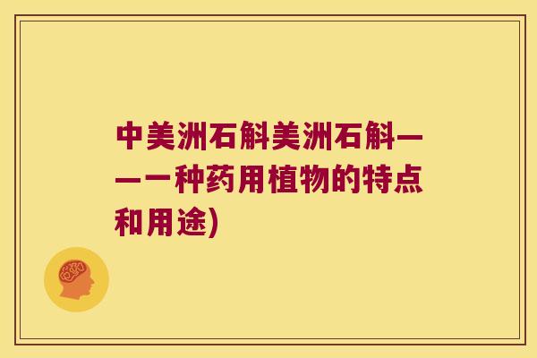 中美洲石斛美洲石斛——一种药用植物的特点和用途) 中美洲石斛美洲石斛——一种药用植物的特点和用途)