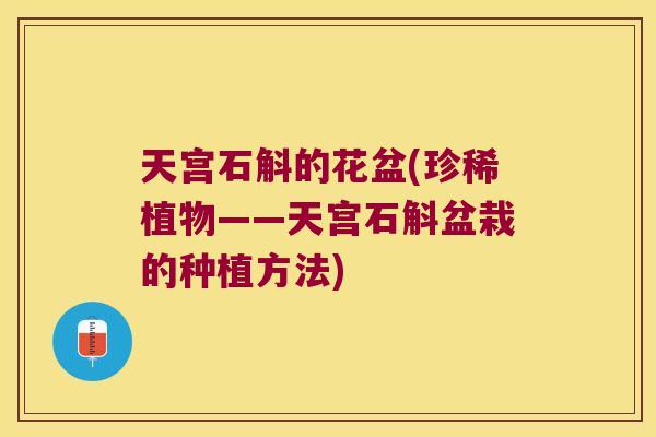 天宫石斛的花盆(珍稀植物——天宫石斛盆栽的种植方法)