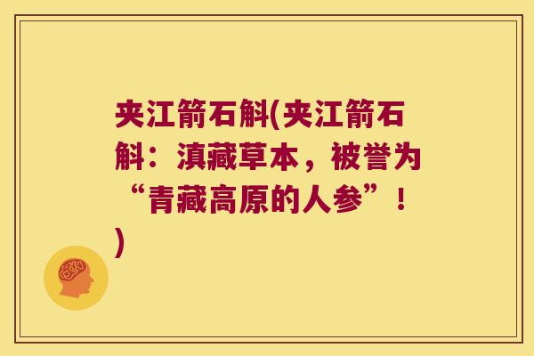 夹江箭石斛(夹江箭石斛：滇藏草本，被誉为“青藏高原的人参”！)