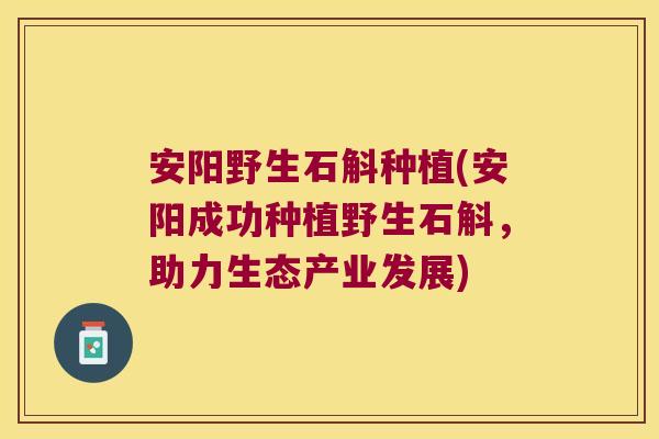 安阳野生石斛种植(安阳成功种植野生石斛，助力生态产业发展)