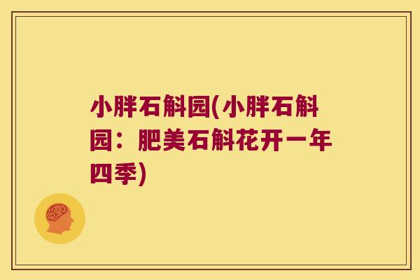 小胖石斛园(小胖石斛园：肥美石斛花开一年四季)