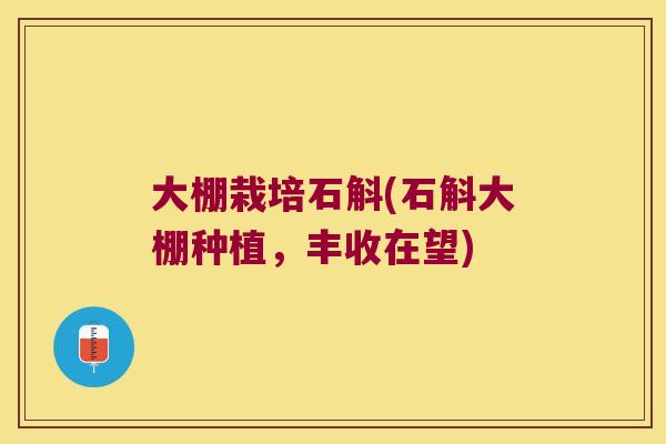 大棚栽培石斛(石斛大棚种植，丰收在望)