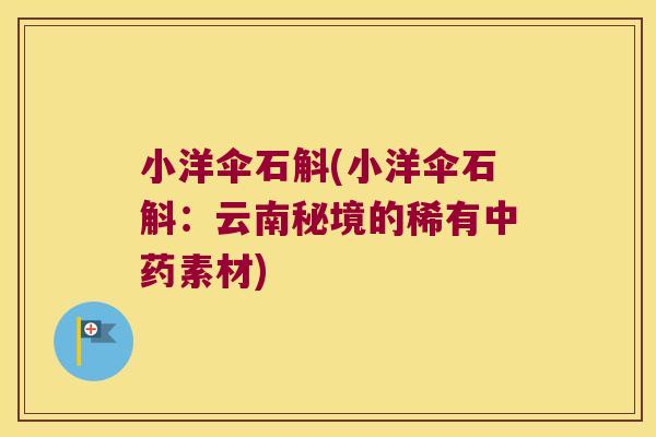 小洋伞石斛(小洋伞石斛：云南秘境的稀有中药素材)