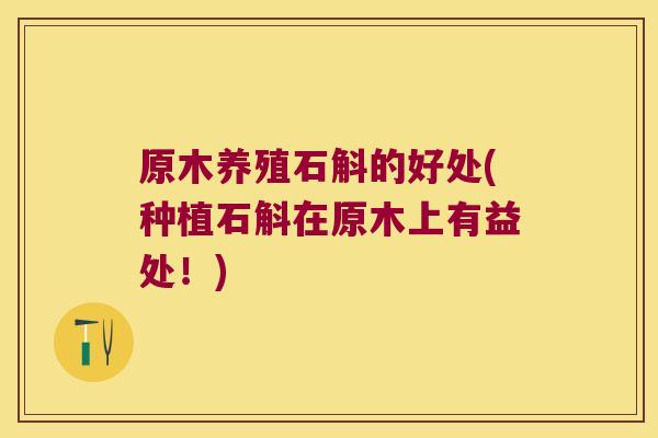 原木养殖石斛的好处(种植石斛在原木上有益处！)