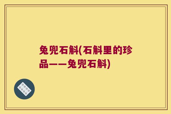 兔兜石斛(石斛里的珍品——兔兜石斛)