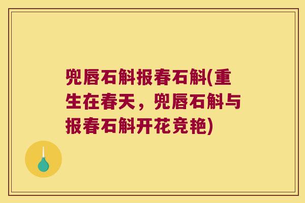 兜唇石斛报春石斛(重生在春天，兜唇石斛与报春石斛开花竞艳)