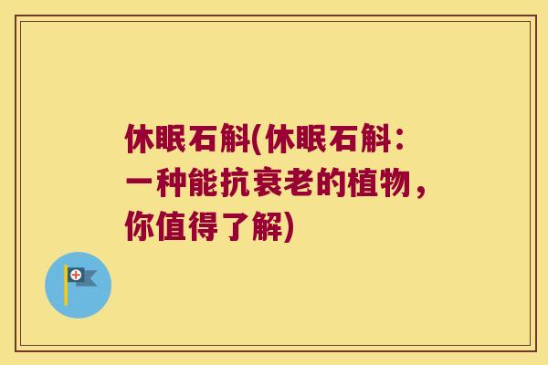 休眠石斛(休眠石斛:一种能抗的植物,你值得了解) 休眠石斛(休眠石斛:一种能抗的植物,你值得了解)