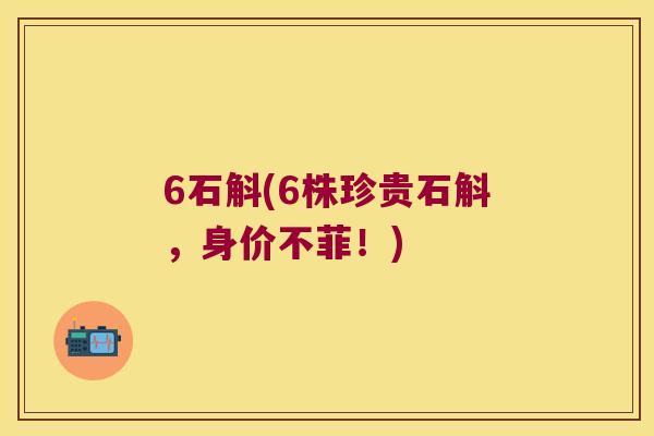 6石斛(6株珍贵石斛，身价不菲！)