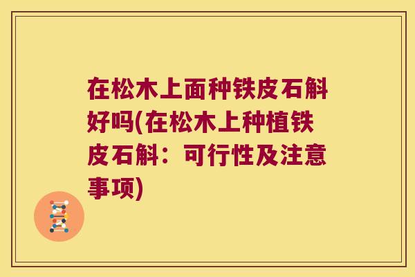 在松木上面种铁皮石斛好吗(在松木上种植铁皮石斛：可行性及注意事项)