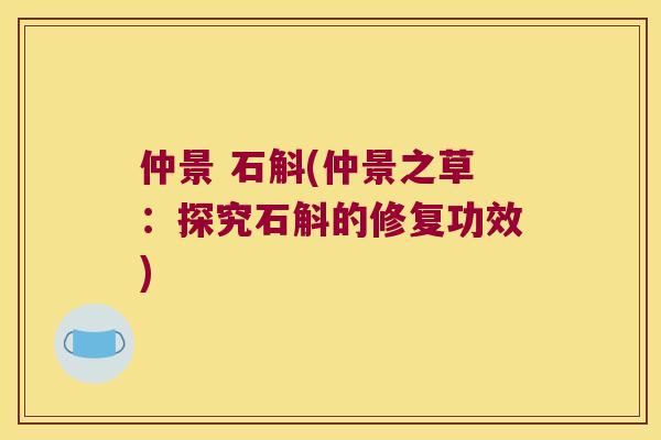 仲景 石斛(仲景之草：探究石斛的修复功效)