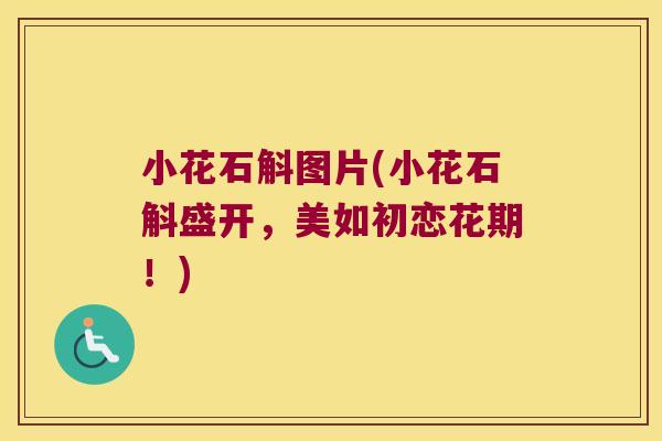 小花石斛图片(小花石斛盛开，美如初恋花期！)