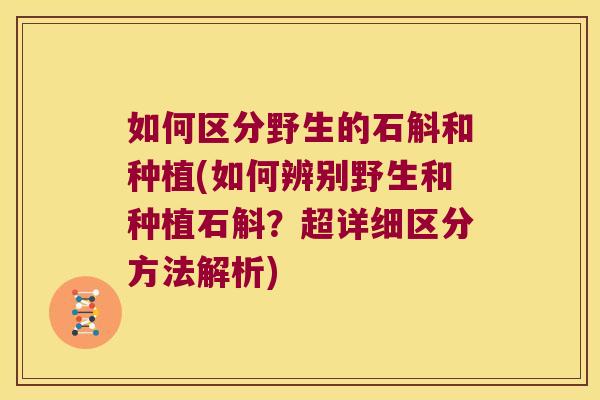 如何区分野生的石斛和种植(如何辨别野生和种植石斛？超详细区分方法解析)