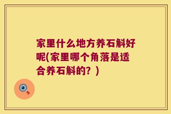 家里什么地方养石斛好呢(家里哪个角落是适合养石斛的？)