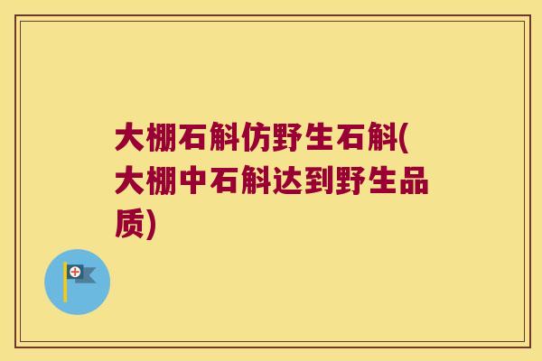 大棚石斛仿野生石斛(大棚中石斛达到野生品质)