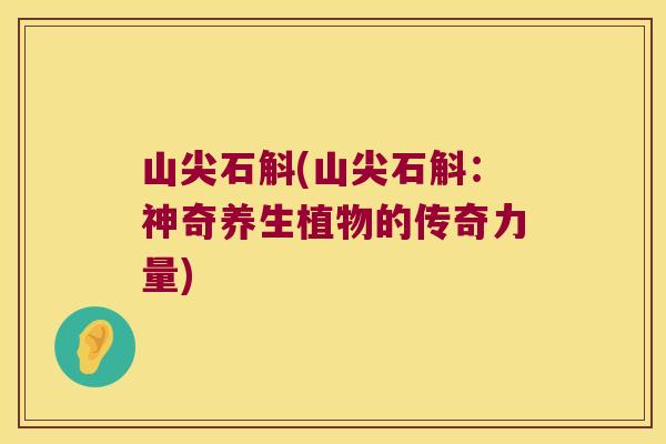 山尖石斛(山尖石斛:神奇养生植物的传奇力量) 山尖石斛(山尖石斛:神奇养生植物的传奇力量)