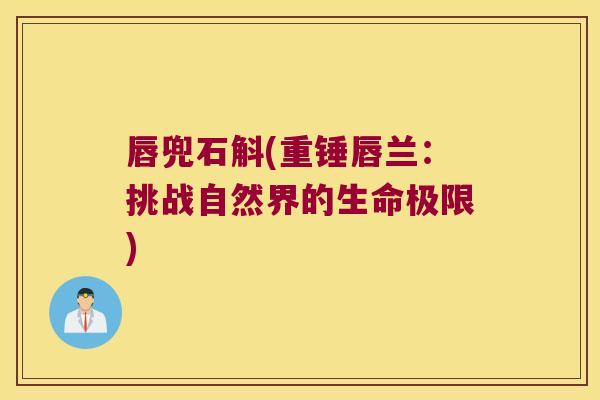 唇兜石斛(重锤唇兰：挑战自然界的生命极限)