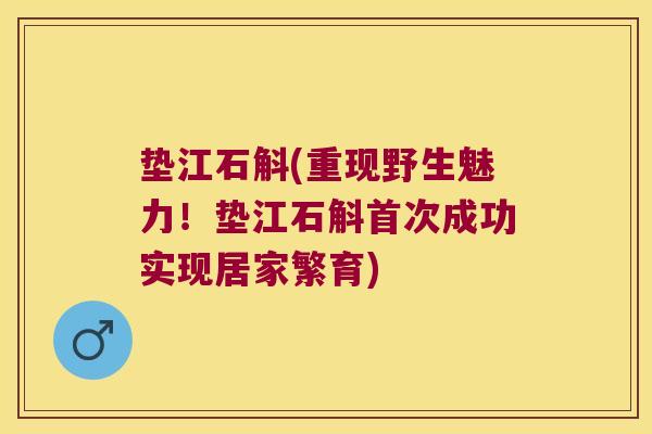 垫江石斛(重现野生魅力!垫江石斛首次成功实现居家繁育) 垫江石斛(重现野生魅力!垫江石斛首次成功实现居家繁育)
