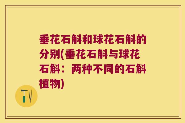 垂花石斛和球花石斛的分别(垂花石斛与球花石斛：两种不同的石斛植物)