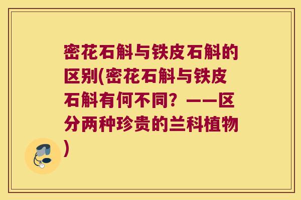 密花石斛与铁皮石斛的区别(密花石斛与铁皮石斛有何不同？——区分两种珍贵的兰科植物)