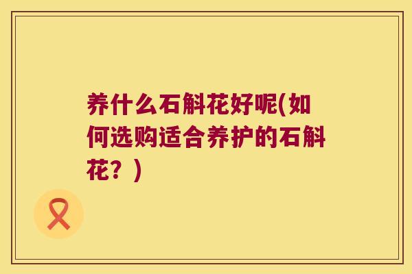 养什么石斛花好呢(如何选购适合养护的石斛花？)
