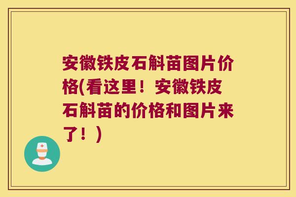 安徽铁皮石斛苗图片价格(看这里!安徽铁皮石斛苗的价格和图片来了!) 安徽铁皮石斛苗图片价格(看这里!安徽铁皮石斛苗的价格和图片来了!)