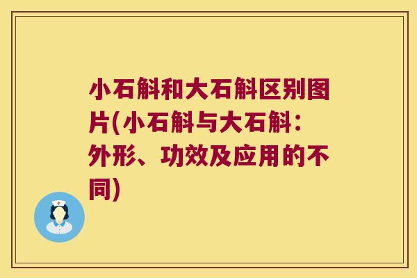小石斛和大石斛区别图片(小石斛与大石斛：外形、功效及应用的不同)
