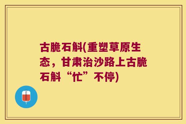 古脆石斛(重塑草原生态，甘肃治沙路上古脆石斛“忙”不停)