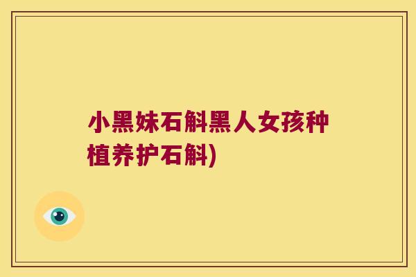 小黑妹石斛黑人女孩种植养护石斛)