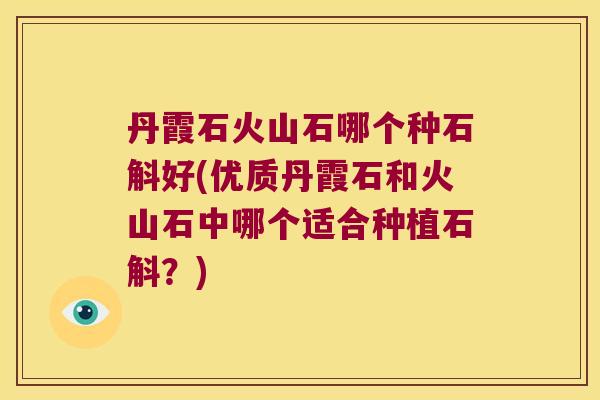 丹霞石火山石哪个种石斛好(优质丹霞石和火山石中哪个适合种植石斛？)