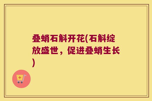 叠蛸石斛开花(石斛绽放盛世，促进叠蛸生长)