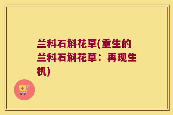 兰科石斛花草(重生的兰科石斛花草：再现生机)