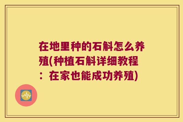 在地里种的石斛怎么养殖(种植石斛详细教程：在家也能成功养殖)